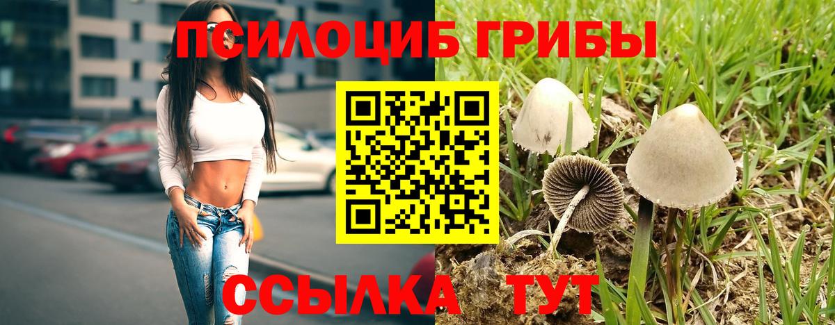 Лесосибирск  Галлюциногенные грибы Magic Shrooms  Вход с VPN 